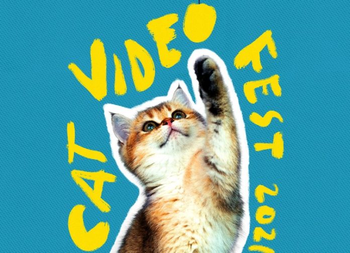 catvideofest